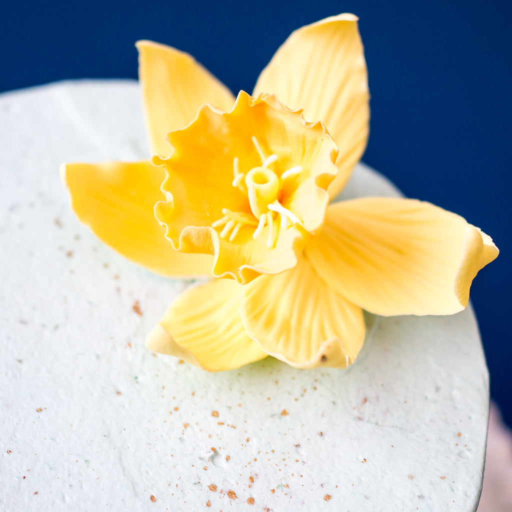 The Daffodil Vegan Cake | Vegan Buttercream Cake